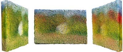 Bild Bäume von Uli Aschenborn